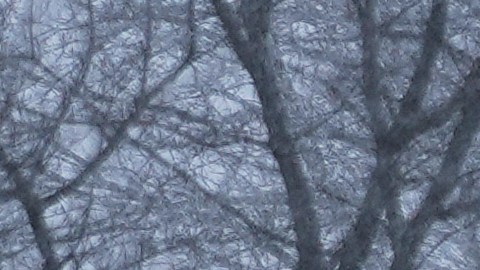 FEMA se coordina con estados por tormenta invernal.