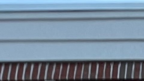 Trader Joe's lidera el ranking de supermercados más satisfactorios del 2026