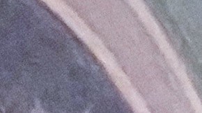 Trump mantiene opinión de que Machado no tiene apoyos para liderar Venezuela: Casa Blanca