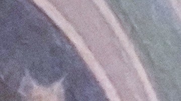 Trump mantiene opinión de que Machado no tiene apoyos para liderar Venezuela: Casa Blanca