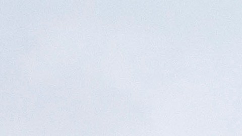 La Administración de Trump intentó borrar registros sobre el ataque al Capitolio: NPR