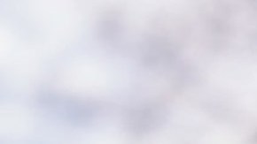 Donald Trump, presidente estadounidense