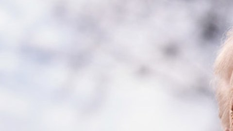 Donald Trump, presidente estadounidense