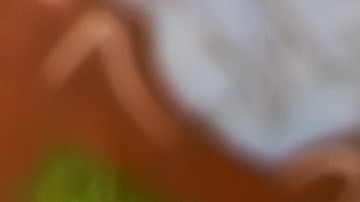 Uso de la tarjeta de crédito