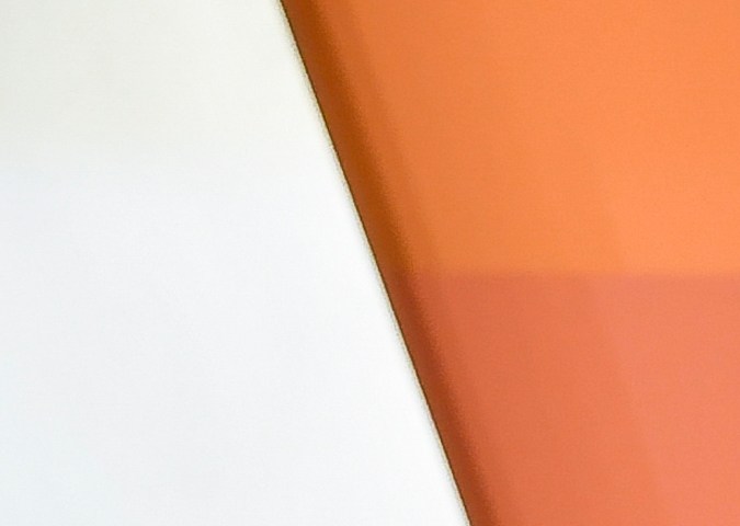 Vanessa Hudgens y Cole Tucker revelan que son padres de un niño y una niña