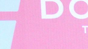 Vicente Fernández Jr.