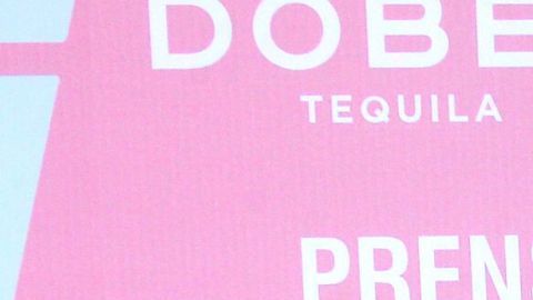 Vicente Fernández Jr.