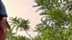 Violencia en Ecuador