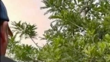 Violencia en Ecuador