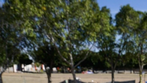 Violencia en Guanajuato