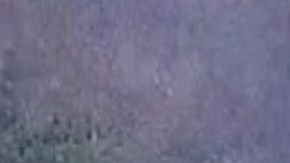 Violencia en Michoacán