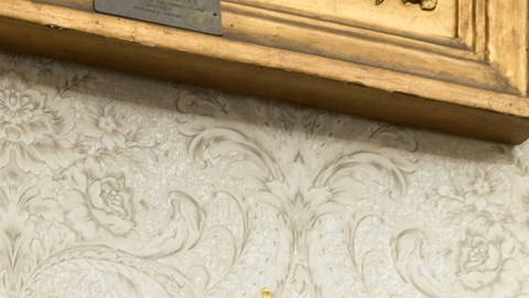 Senador Warner llama a Trump “tonto” al aceptar el Premio Nobel de manos de Machado