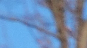 La Secretaría culpó a manifestantes y autoridades locales de los disturbios en Minnesota.