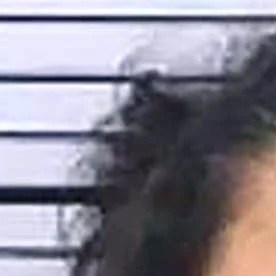 Sus padres fueron arrestados y enfrentan cargos de abuso infantil y crueldad animal.