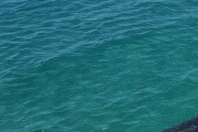 Tiburón nadando debajo de un bote en la playa.