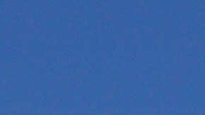 Fox lanza convocatoria abierta de casting para el reinicio de ‘Baychatch’