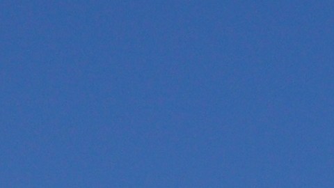 Fox lanza convocatoria abierta de casting para el reinicio de ‘Baychatch’