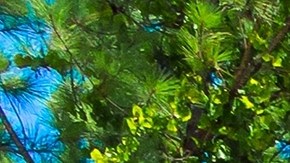 construir sin hormigón