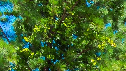 construir sin hormigón