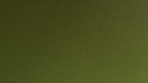 El Año Nuevo Lunar chino corresponde al Año del Dragón.