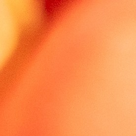 En el Año del Caballo, el Feng Shui recomienda usar los colores asociados a los 5 elementos.