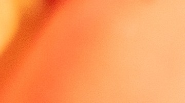 En el Año del Caballo, el Feng Shui recomienda usar los colores asociados a los 5 elementos.