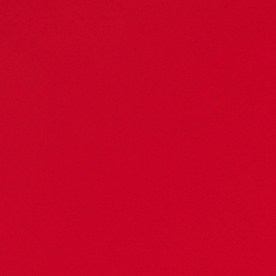 El Año del Caballo inicia el 7 de febrero de 2026.