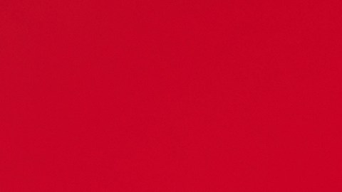 El Año del Caballo inicia el 7 de febrero de 2026.