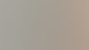 El sospechoso fue identificado como Ryan Camacho, de 36 años, un delincuente reincidente.