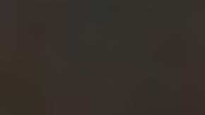 Sturdivant planeaba atacar con un cuchillo y un martillo a personas al azar, con posibles objetivos como una tienda de comestibles o un restaurante Burger King.