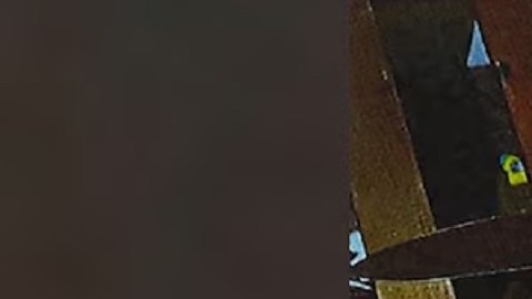 Sturdivant planeaba atacar con un cuchillo y un martillo a personas al azar, con posibles objetivos como una tienda de comestibles o un restaurante Burger King.