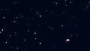 Algunos signos son más propensos a mostrar conductas peligrosas.