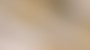 Una sola botella del champú puede rendir para múltiples aplicaciones, lo que reduce el gasto a largo plazo.