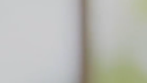 Google indicó que la mayor parte de las nuevas funciones están disponibles a partir de este 28 de enero