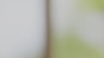 Google indicó que la mayor parte de las nuevas funciones están disponibles a partir de este 28 de enero