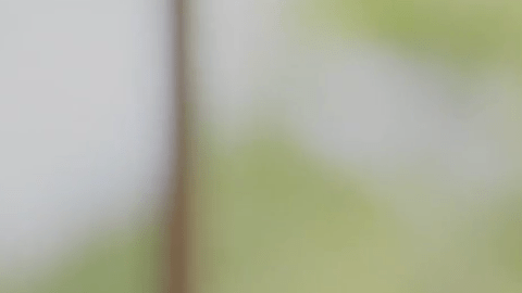 Google indicó que la mayor parte de las nuevas funciones están disponibles a partir de este 28 de enero