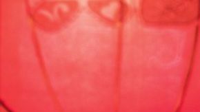 Tu signo chino tiene más posibilidades de vivir un amor próspero si se basa en sus compatibilidades.