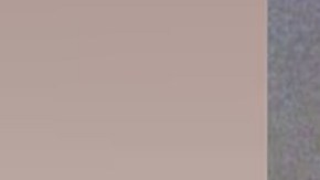 El presunto autor, David Grullón Jr., se entregó días después y fue acusado de homicidio involuntario, entre otros cargos.