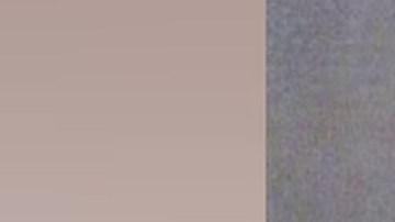 El presunto autor, David Grullón Jr., se entregó días después y fue acusado de homicidio involuntario, entre otros cargos.