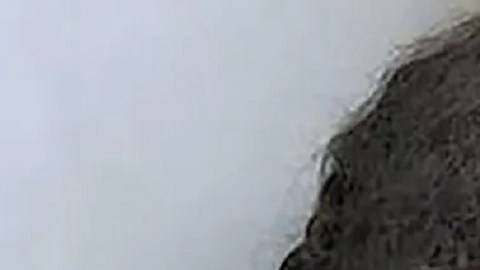 La responsable, Crystal Royster, de 42 años y residente de Detroit, se declaró culpable el 13 de noviembre del delito de denuncia falsa de amenaza de bomba