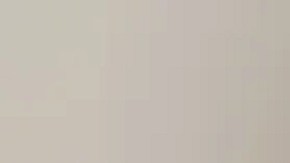 El principal sospechoso tenía una orden de arresto vigente por no comparecer ante el tribunal.