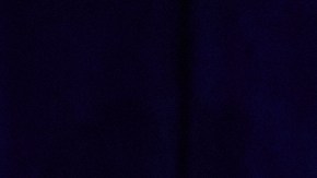 La administración Trump calificó como instituciones redundantes en su alcance, mal administradas, innecesarias y derrochadoras.