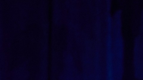 La administración Trump calificó como instituciones redundantes en su alcance, mal administradas, innecesarias y derrochadoras.