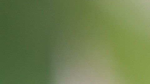 empleos en español en usa