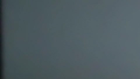 estafa en trámites migratorios