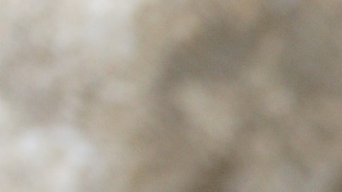 El 2026 recompensará a estos signos del horóscopo chino con fortuna.