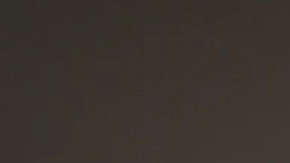 Muertes por sobredosis en EE.UU. disminuyeron durante 2025