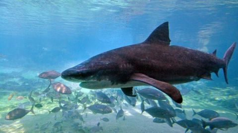 ff61bc20-f93a-11f0-814e-71ff186d4f46