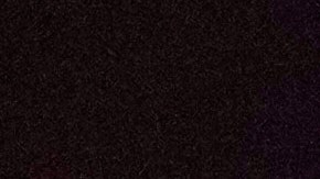 Gustavo Petro pide a Trump regresar a Maduro a Venezuela.