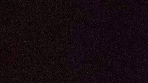 Gustavo Petro pide a Trump regresar a Maduro a Venezuela.